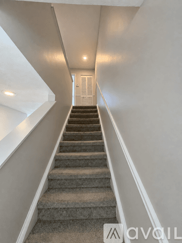 Tampa Apartment: 208 S Habana Ave