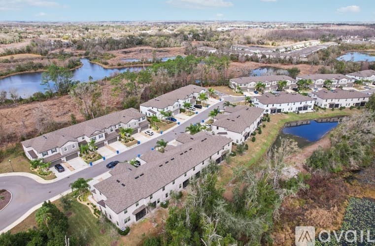 Lutz Townhome: 1306 White Fox Run