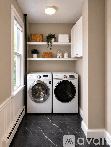 New Haven Apartment: 81 Edwards St