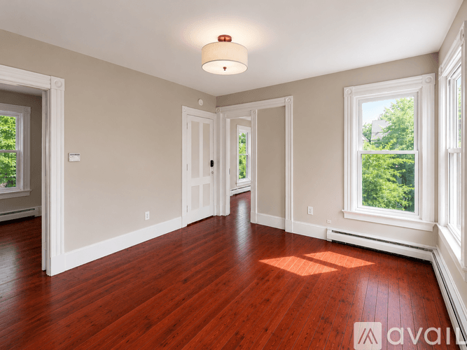 New Haven Apartment: 81 Edwards St