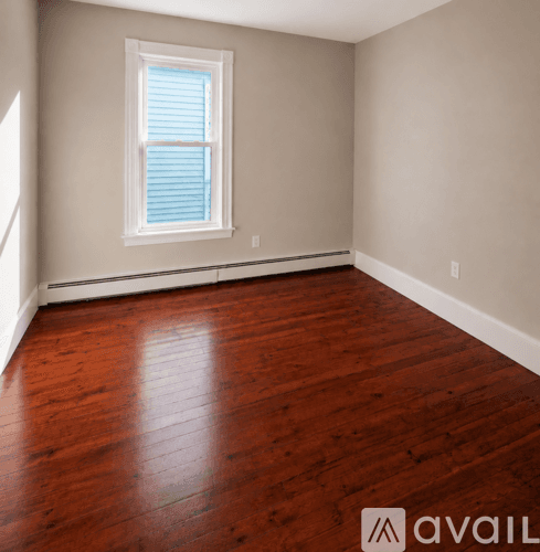 New Haven Apartment: 81 Edwards St