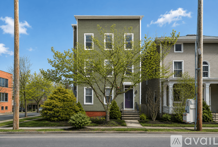 New Haven Apartment: 81 Edwards St