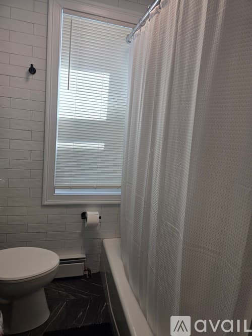New Haven Apartment: 81 Edwards St