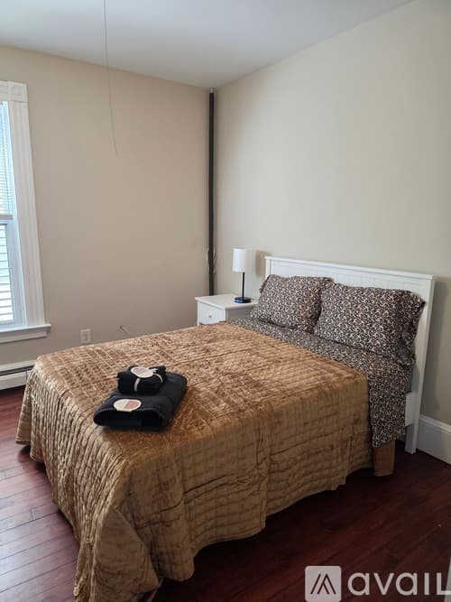 New Haven Apartment: 81 Edwards St