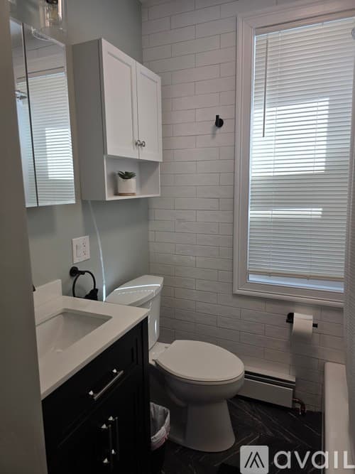 New Haven Apartment: 81 Edwards St