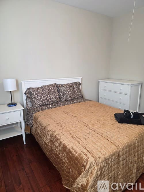 New Haven Apartment: 81 Edwards St