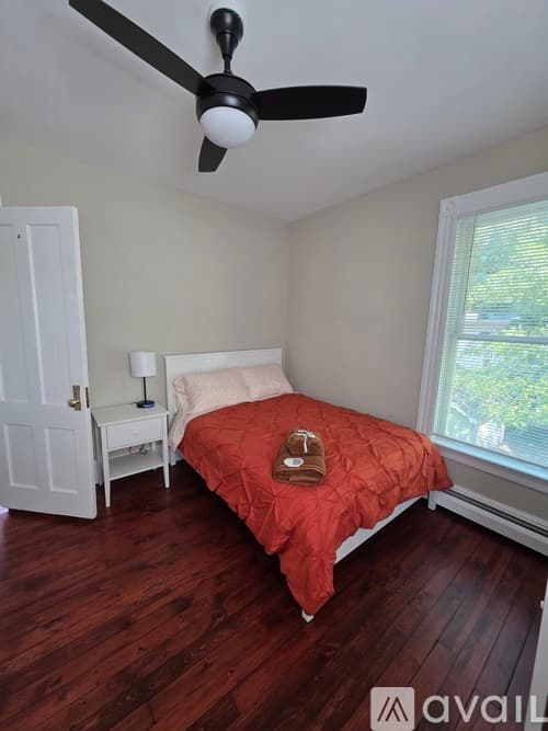 New Haven Apartment: 81 Edwards St