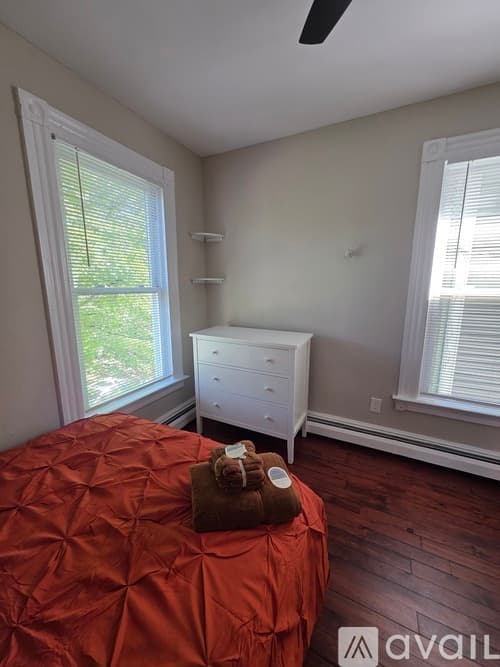 New Haven Apartment: 81 Edwards St