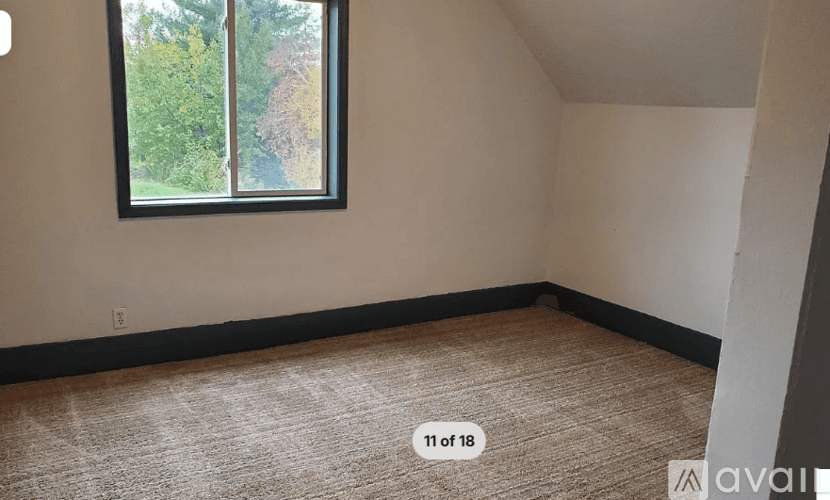 Le Sueur Apartment: 223 Bridge St