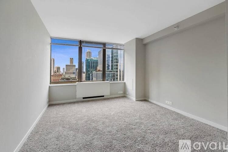 Chicago Apartment: 303 E Ohio St