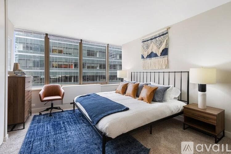 Chicago Apartment: 303 E Ohio St