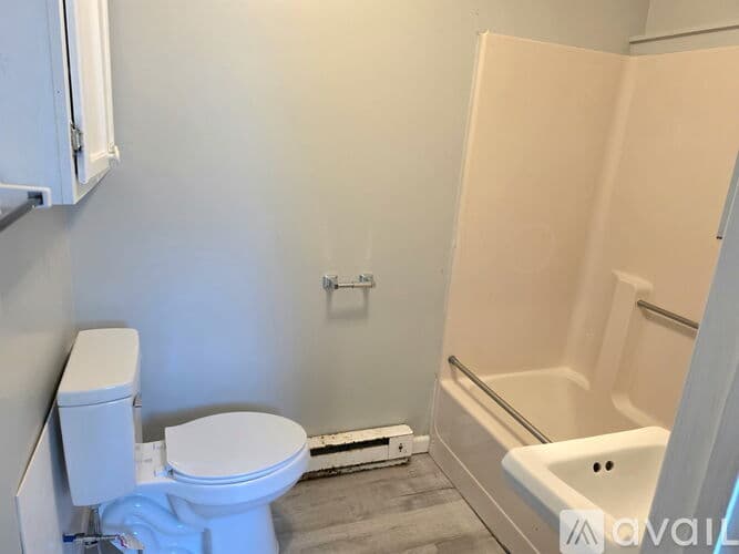 Carbondale Apartment: 319 E College St