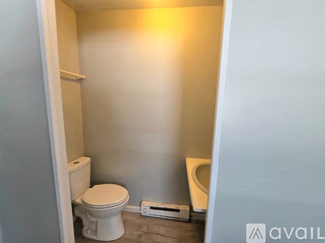 Carbondale Apartment: 319 E College St