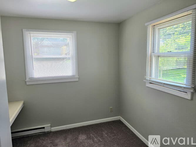 Carbondale Apartment: 319 E College St