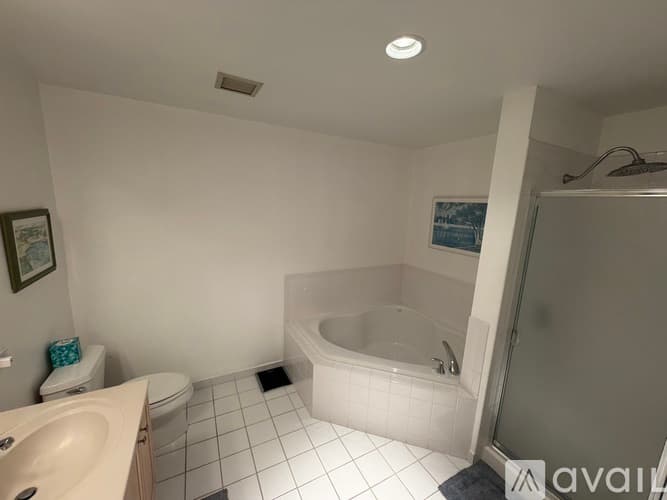 Chicago Condo: 1515 South Prairie Avenue