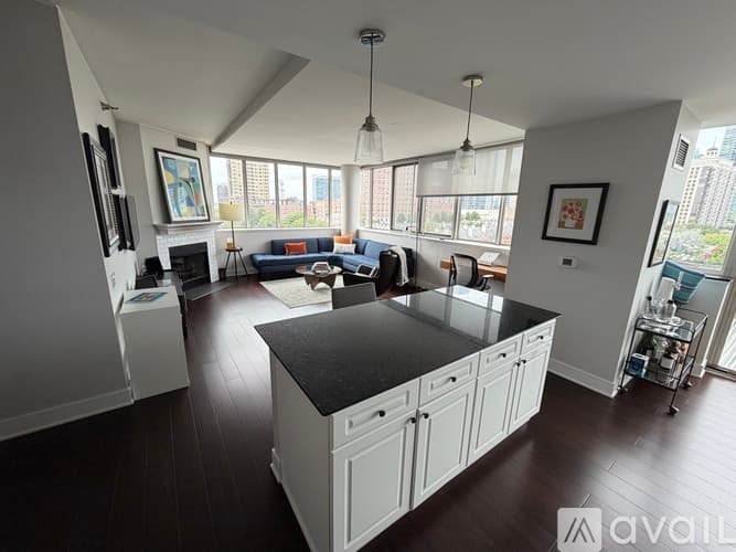 Chicago Condo: 1515 South Prairie Avenue