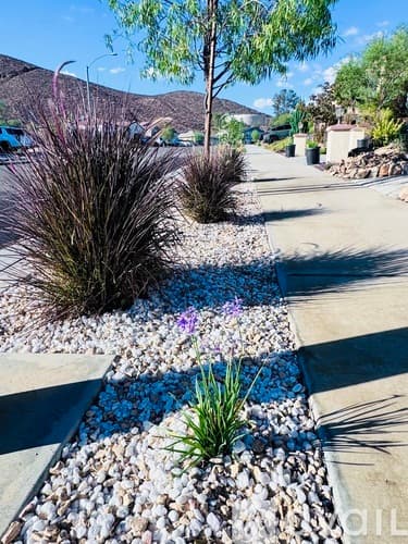Menifee House: 25026 Ganymede Way
