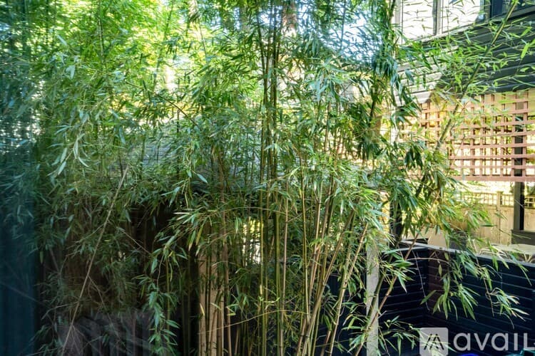 Cambridge Condo: 19 Shepard Street