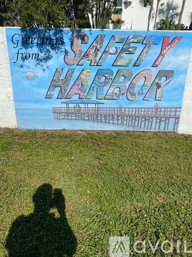 Safety Harbor House: 344 Bay Place