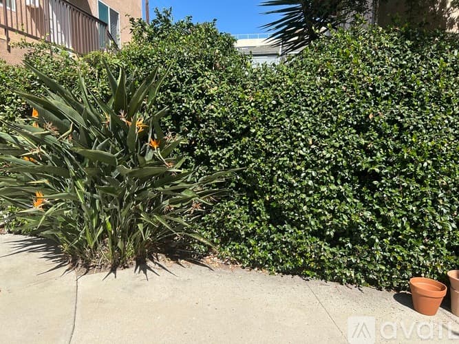 Beverly Hills Apartment: 243 North Swall Drive