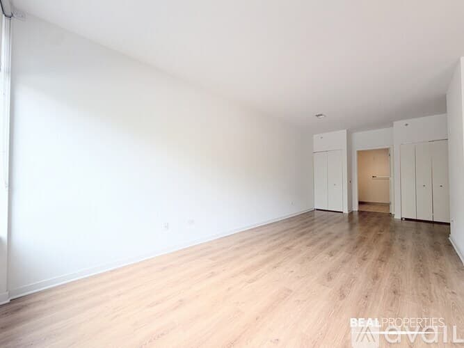 Chicago Apartment: 558 W Webster Ave