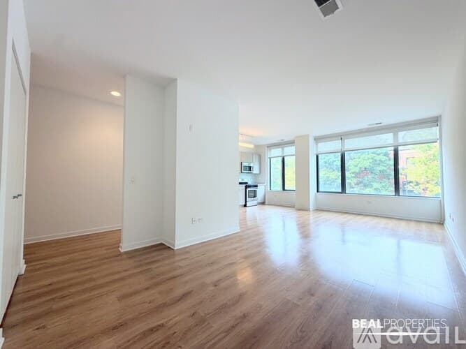 Chicago Apartment: 558 W Webster Ave