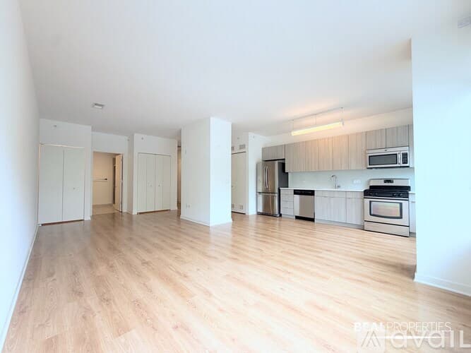 Chicago Apartment: 558 W Webster Ave