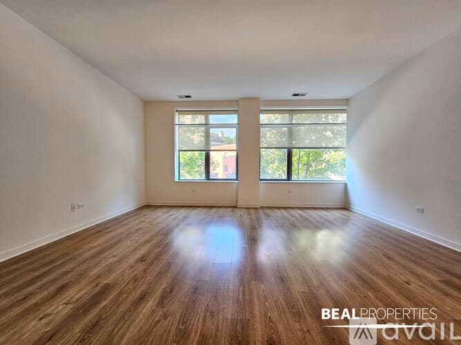 Chicago Condo: 558 W Webster Ave