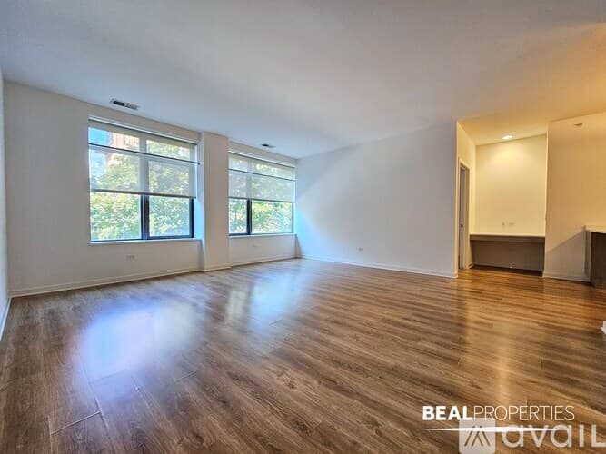 Chicago Condo: 558 W Webster Ave