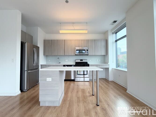 Chicago Condo: 558 W Webster Ave