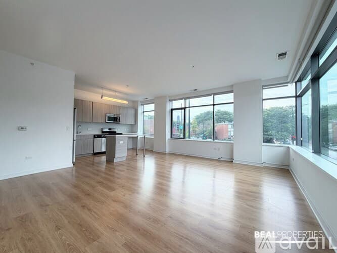 Chicago Condo: 558 W Webster Ave