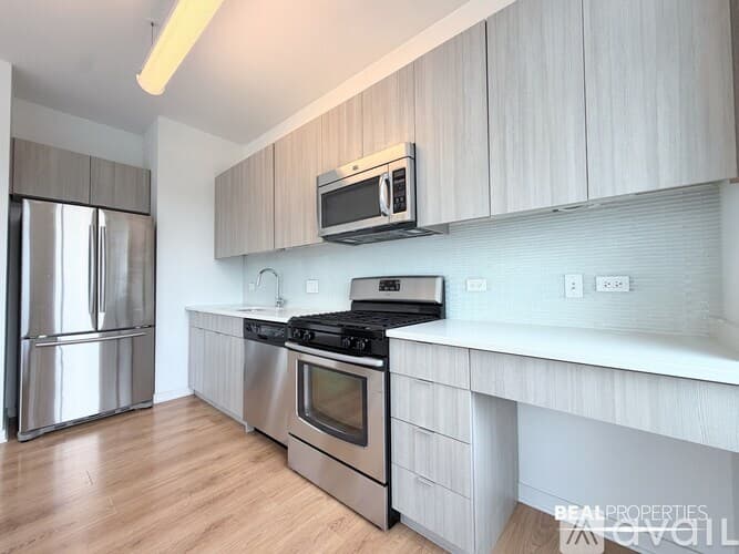 Chicago Condo: 558 W Webster Ave