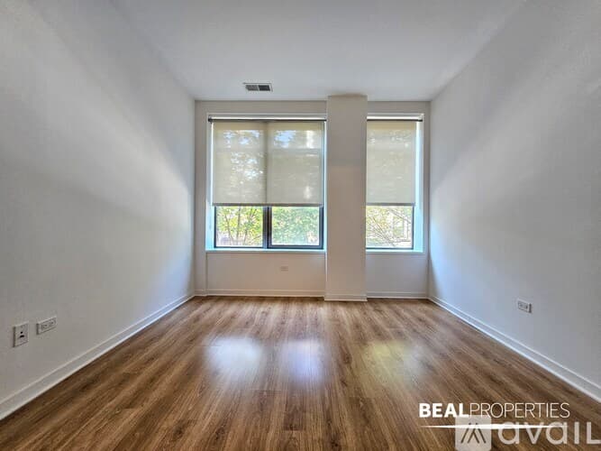 Chicago Condo: 558 W Webster Ave