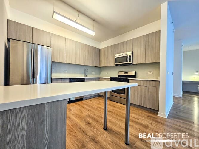 Chicago Condo: 558 W Webster Ave