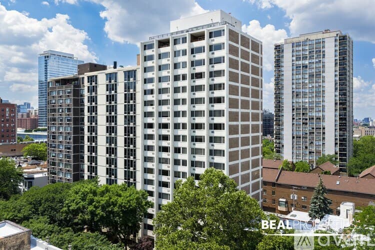 Chicago Condo: 1344 N Dearborn St