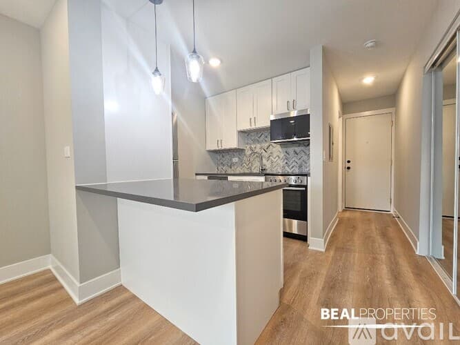 Chicago Condo: 555 W Stratford Pl