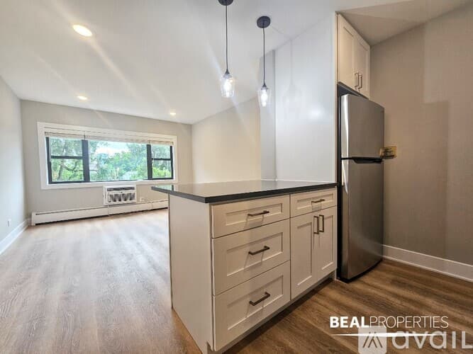 Chicago Condo: 555 W Stratford Pl