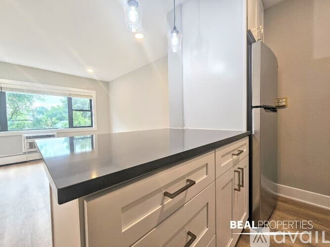 Chicago Condo: 555 W Stratford Pl