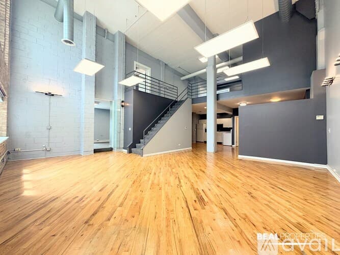 Chicago Apartment: 2320 N Damen Ave