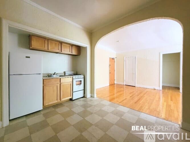 Chicago Condo: 536 W Arlington Pl