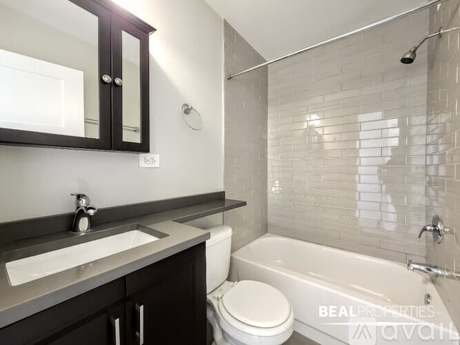 Chicago Condo: 445 W Wellington Ave
