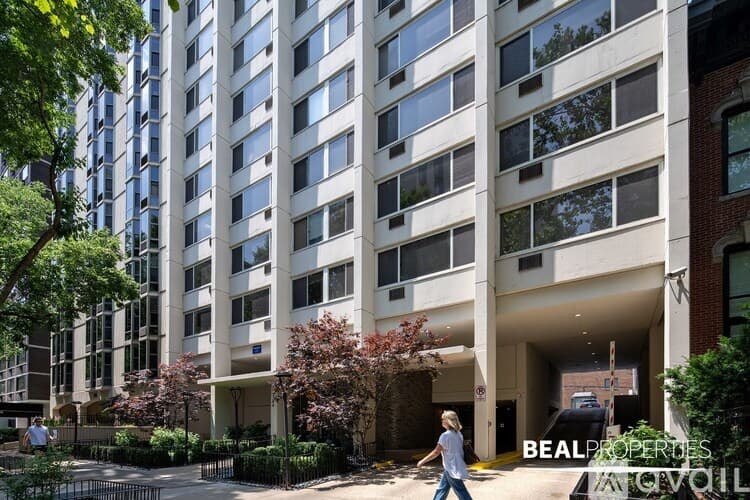 Chicago Condo: 1344 N Dearborn St