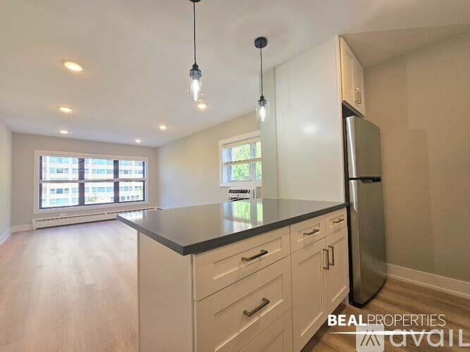 Chicago Condo: 555 W Stratford Pl