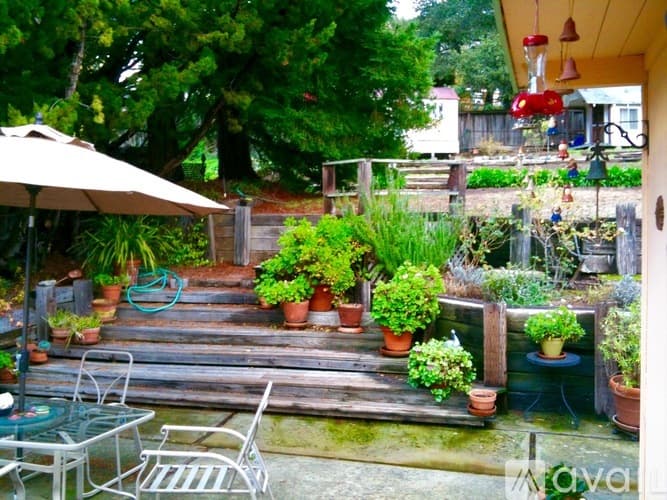 San Carlos House: 351 Cedar Street