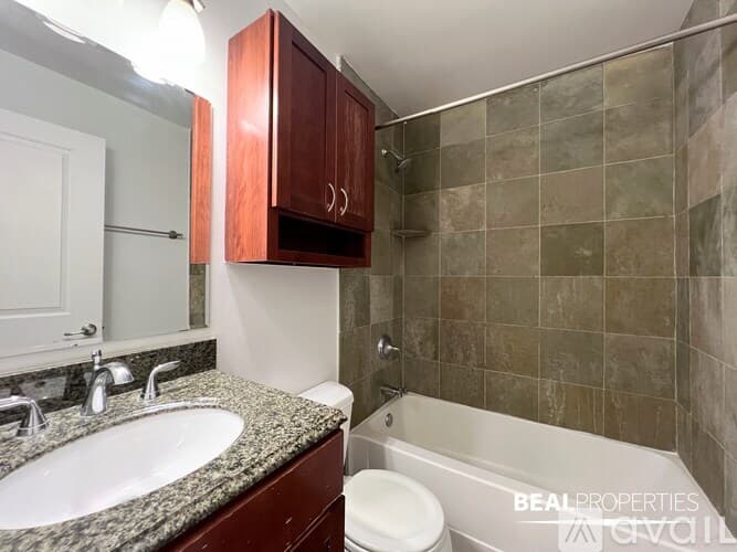 Chicago Condo: 625 W Wrightwood Ave