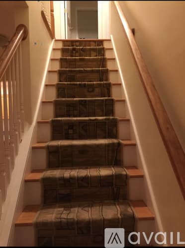Naugatuck House: 63 Olive St