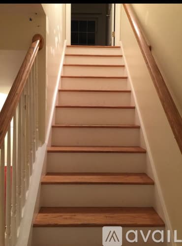 Naugatuck House: 63 Olive St