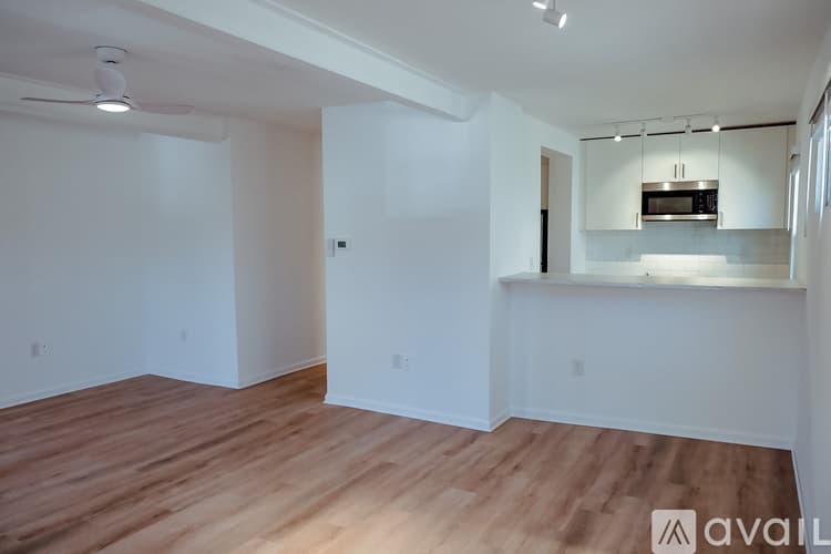 New Haven Apartment: 56 Vernon Street