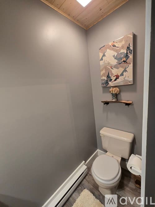 Lake Harmony Townhome: 119 Downhill