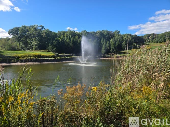 Lake Harmony Townhome: 119 Downhill